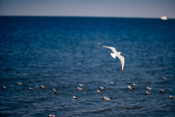 Photography Hashtags 2023